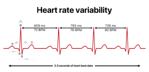 Heart Rate Variability (HRV): cos’è in sintesi